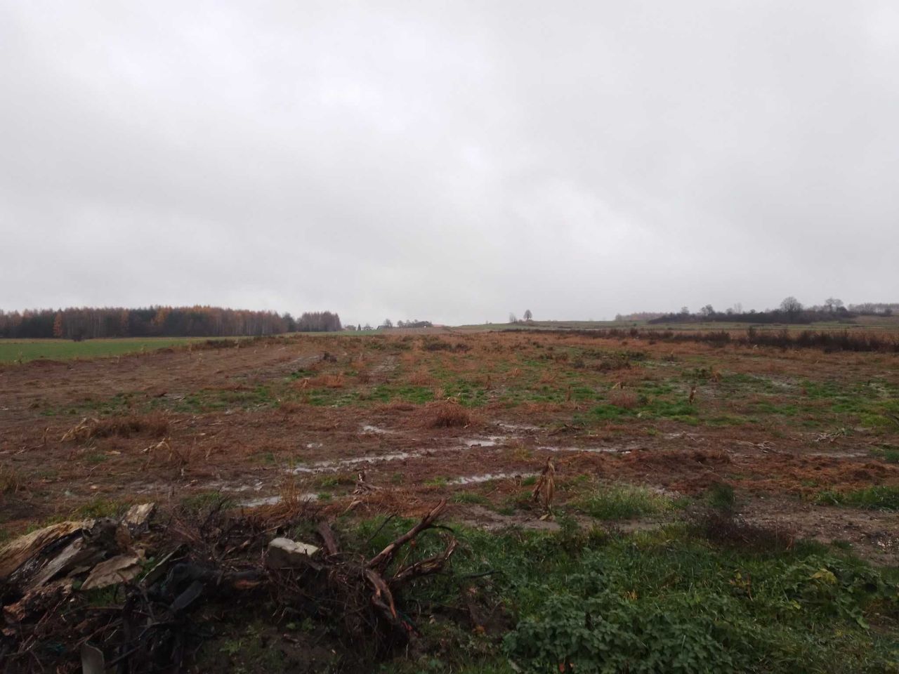 Działka budowlana Wielebnów. Zdjęcie 2