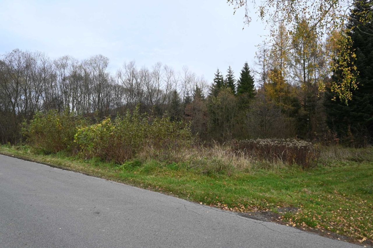 Działka budowlana Winiary. Zdjęcie 4