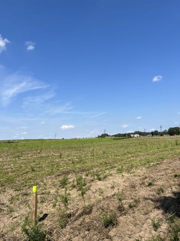 Działka budowlana Łagiewniki. Zdjęcie 1