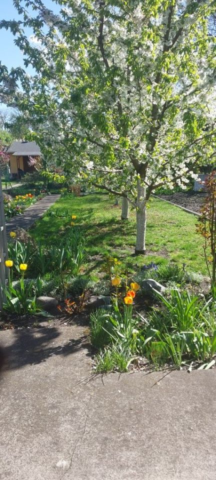 Działka rod Toruń, ul. Grudziądzka. Zdjęcie 5