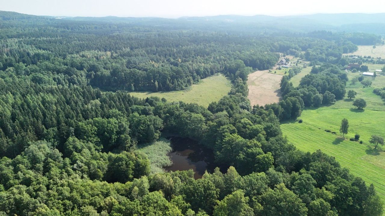 Działka siedliskowa Nowa Wieś Wielka. Zdjęcie 8