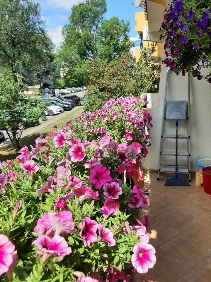 Zdjęcie 8