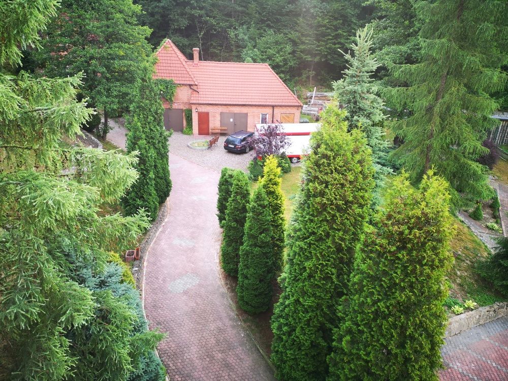 Lokal Chojnik. Zdjęcie 16