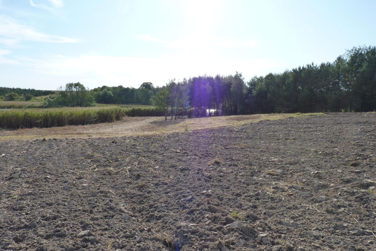 Działka rolna Zieleniewo. Zdjęcie 11