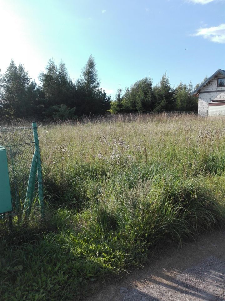 Działka rolna Pękalin