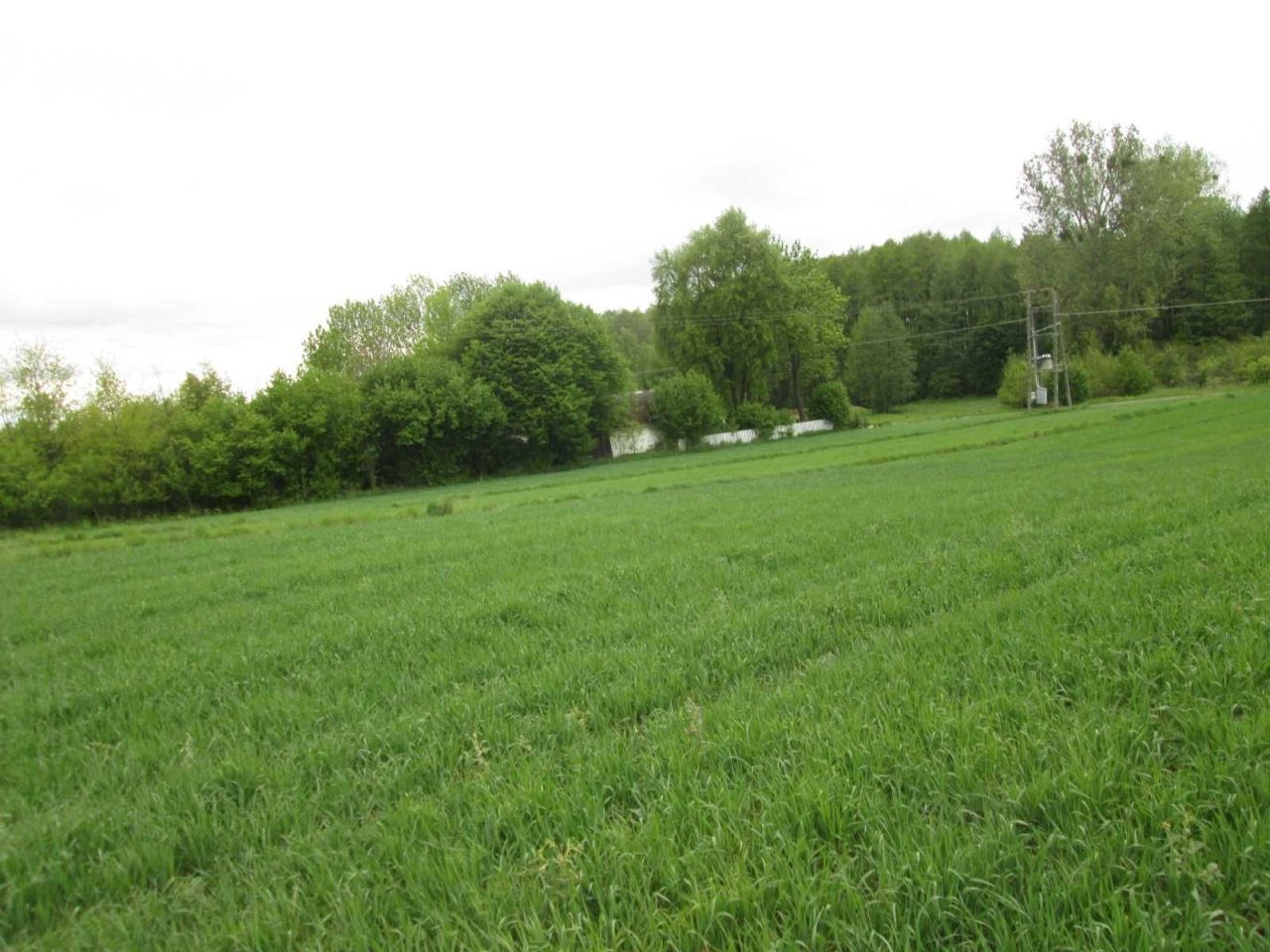 Działka rolna Krępa Górna. Zdjęcie 8