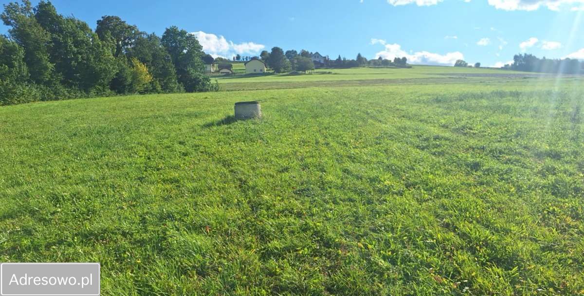 Działka budowlana Korzenna. Zdjęcie 5