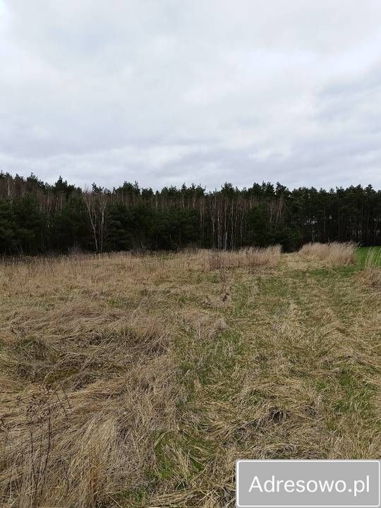 Działka Łowinia. Zdjęcie 6