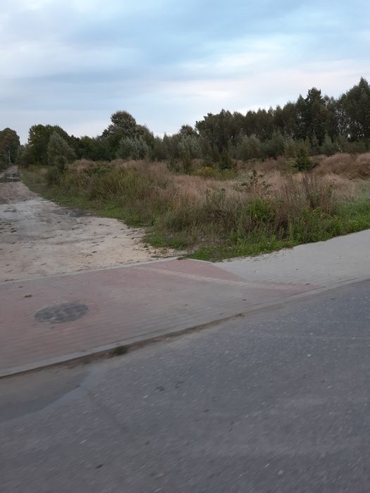 Działka rolno-budowlana Miętne. Zdjęcie 3