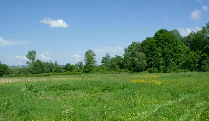 Działka rolno-budowlana Mszanka