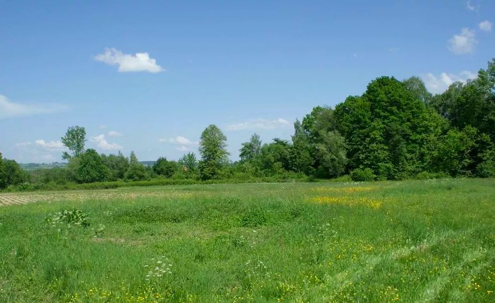 Działka rolno-budowlana Mszanka