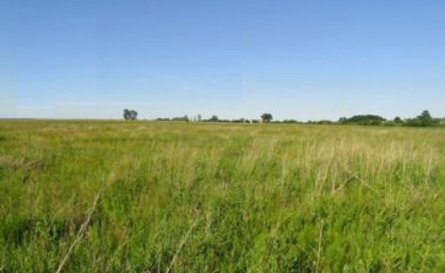 Działka budowlana Gleźnowo. Zdjęcie 1