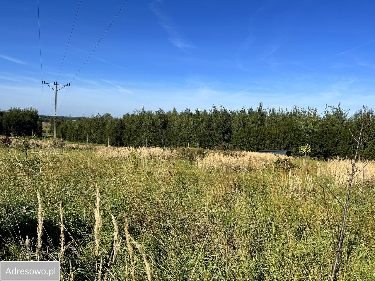 Działka rolno-budowlana Olchowa. Zdjęcie 7