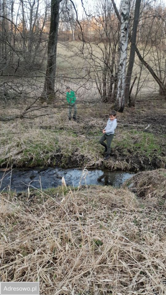 Działka inwestycyjna Konradów. Zdjęcie 18