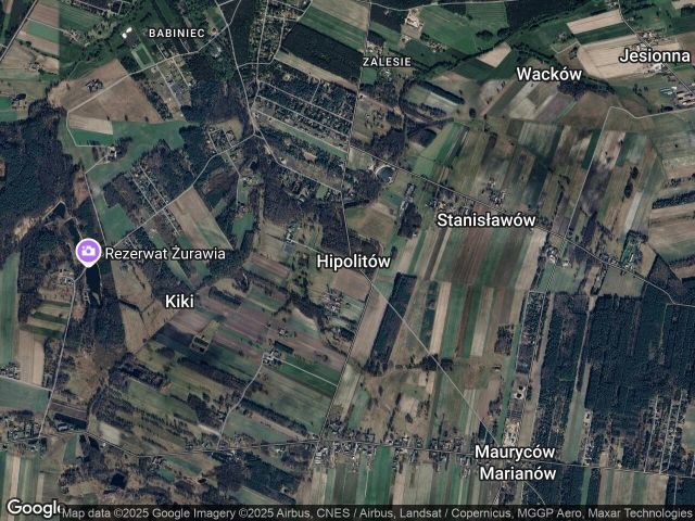 Działka leśna Hipolitów. Zdjęcie 1