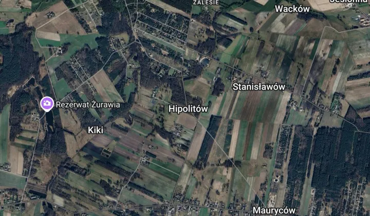 Działka leśna Hipolitów