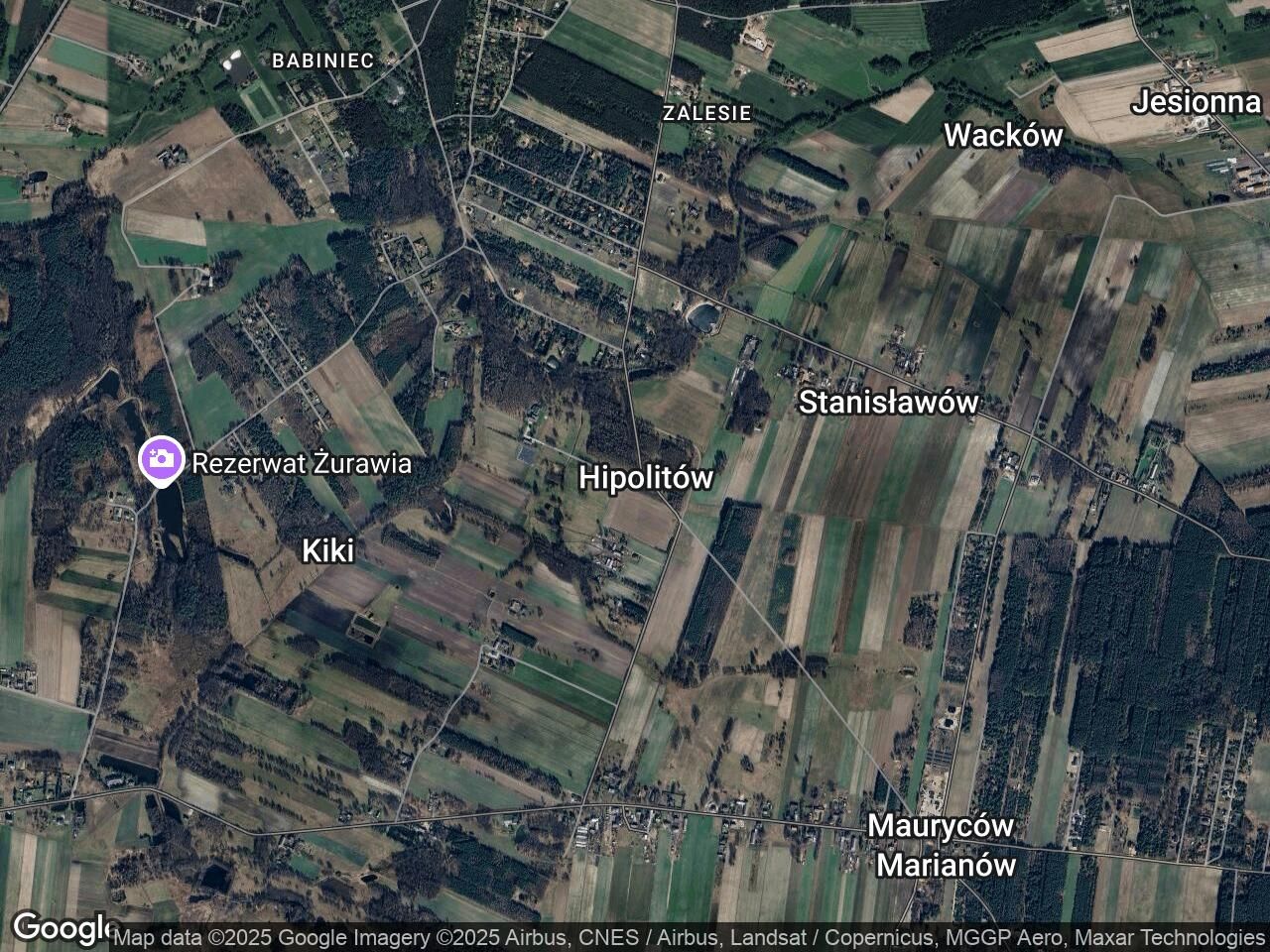 Działka leśna Hipolitów