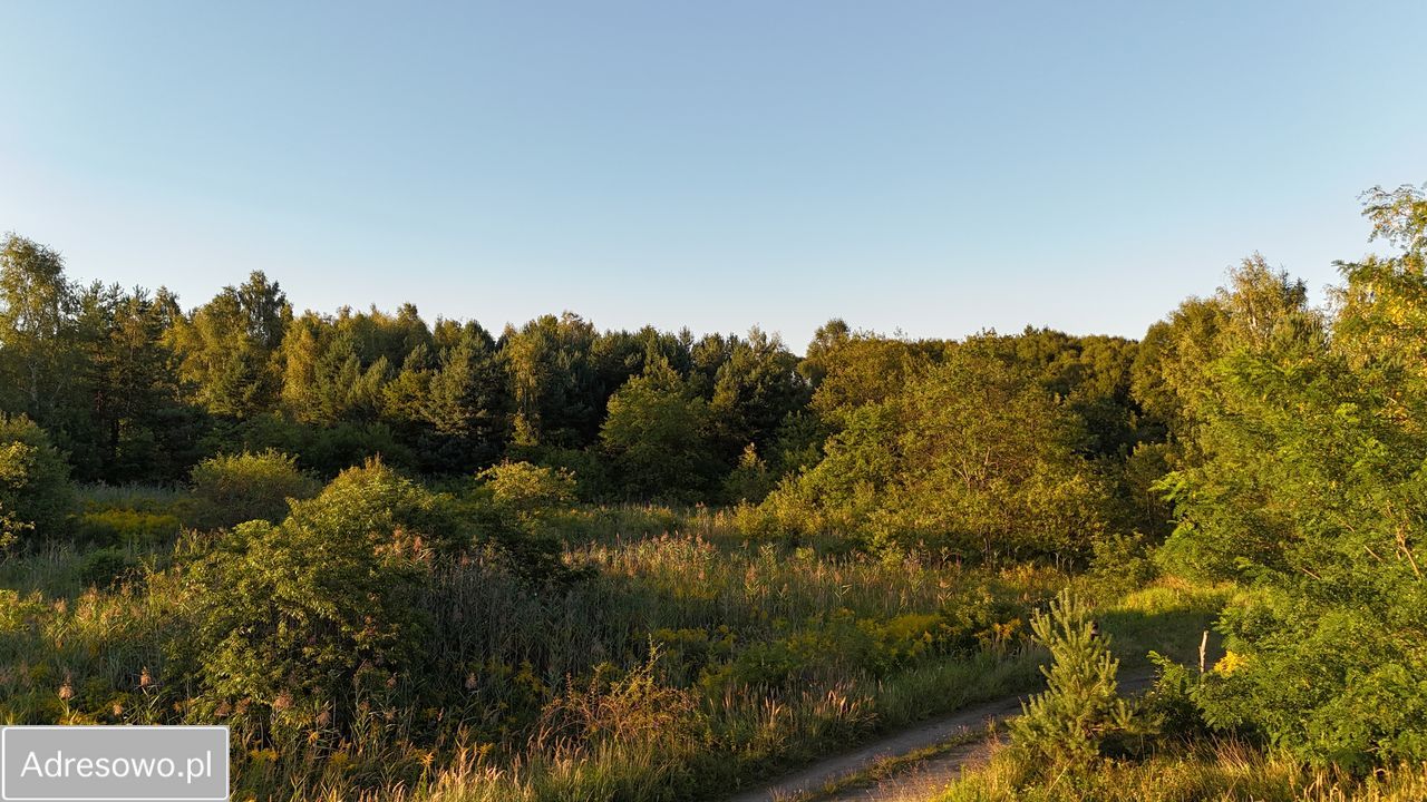 Działka budowlana Zielona Góra Jędrzychów, ul. Jędrzeja Śniadeckiego. Zdjęcie 3