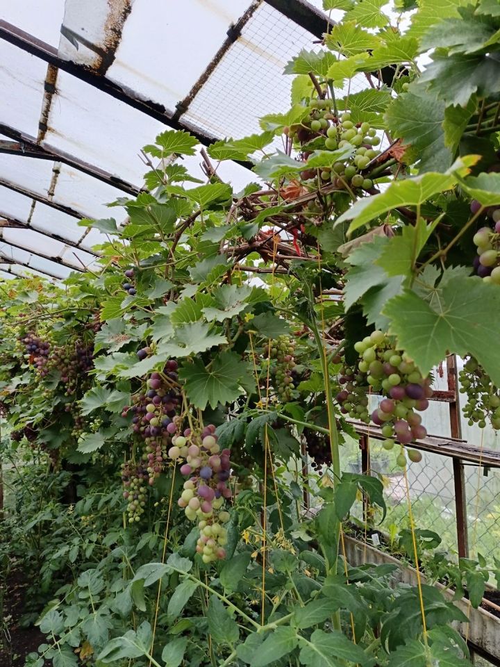 Działka rod Niekłonice. Zdjęcie 7