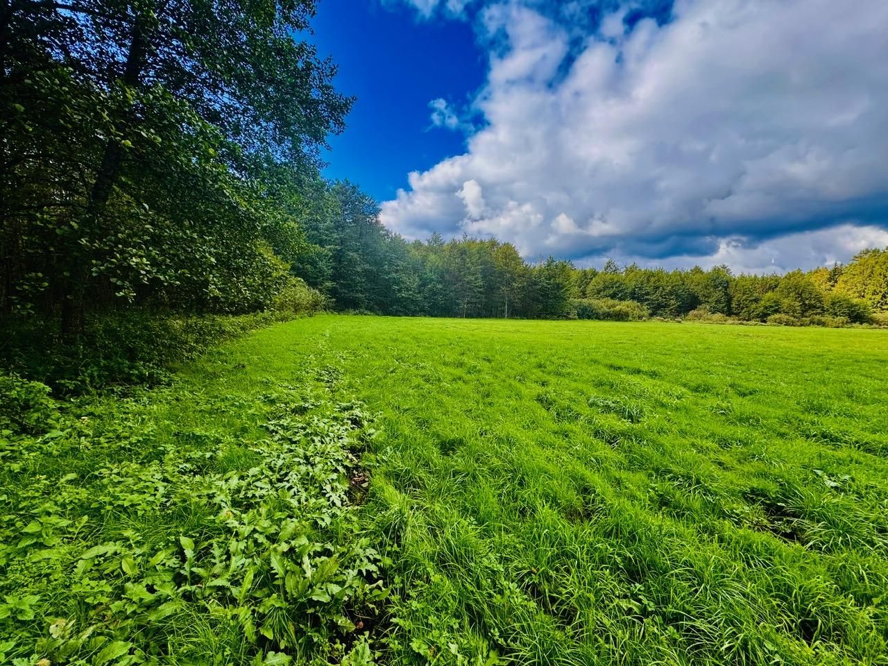 Działka rolna Nitki. Zdjęcie 10