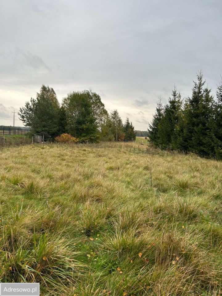 Działka budowlana Osowo Leśne. Zdjęcie 4