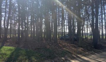 Działka leśna Plewica
