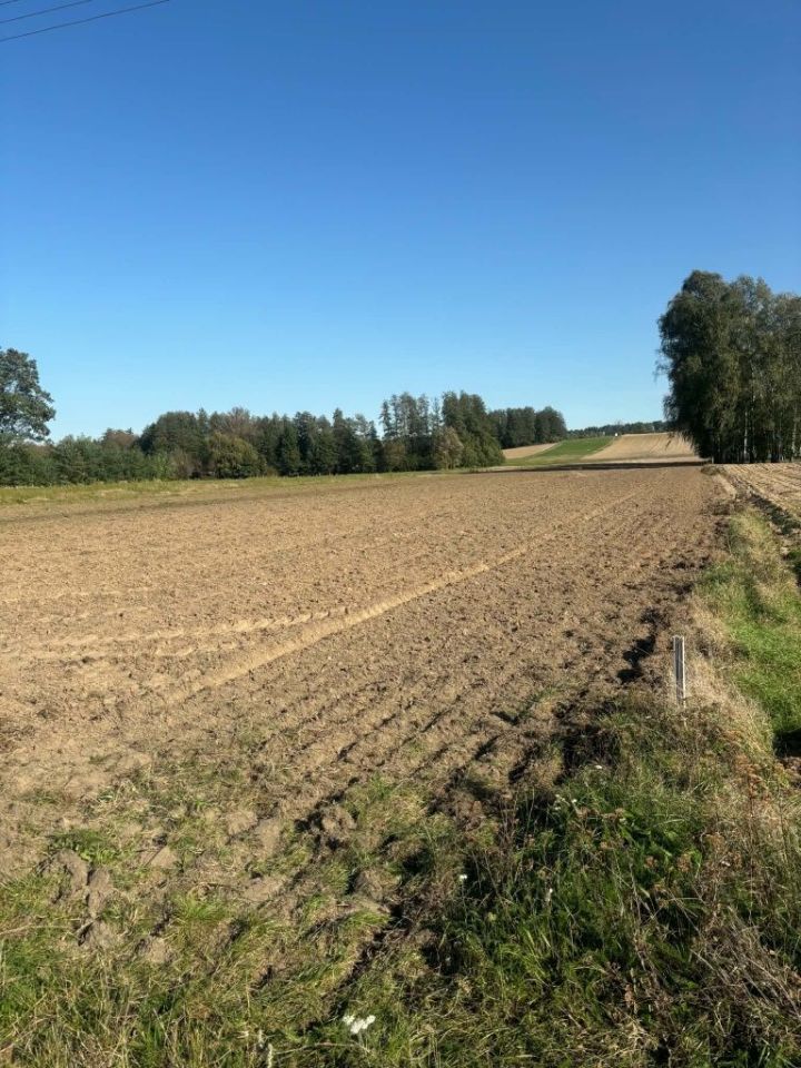 Działka budowlana Stobno. Zdjęcie 3