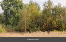Działka budowlana Marianowo. Zdjęcie 2