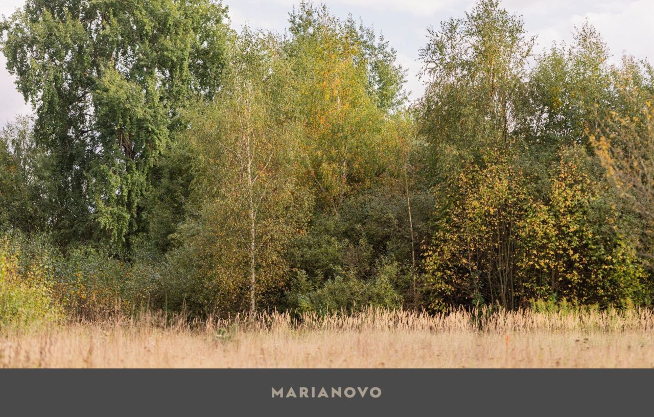 Działka budowlana Marianowo. Zdjęcie 3