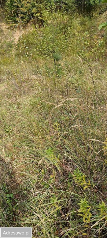 Działka Wyżne. Zdjęcie 7