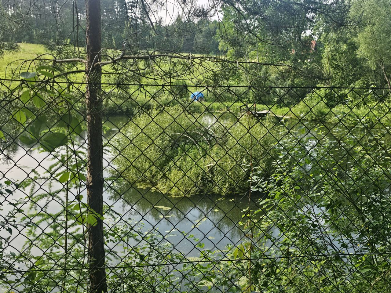 Działka inna Weremień. Zdjęcie 4