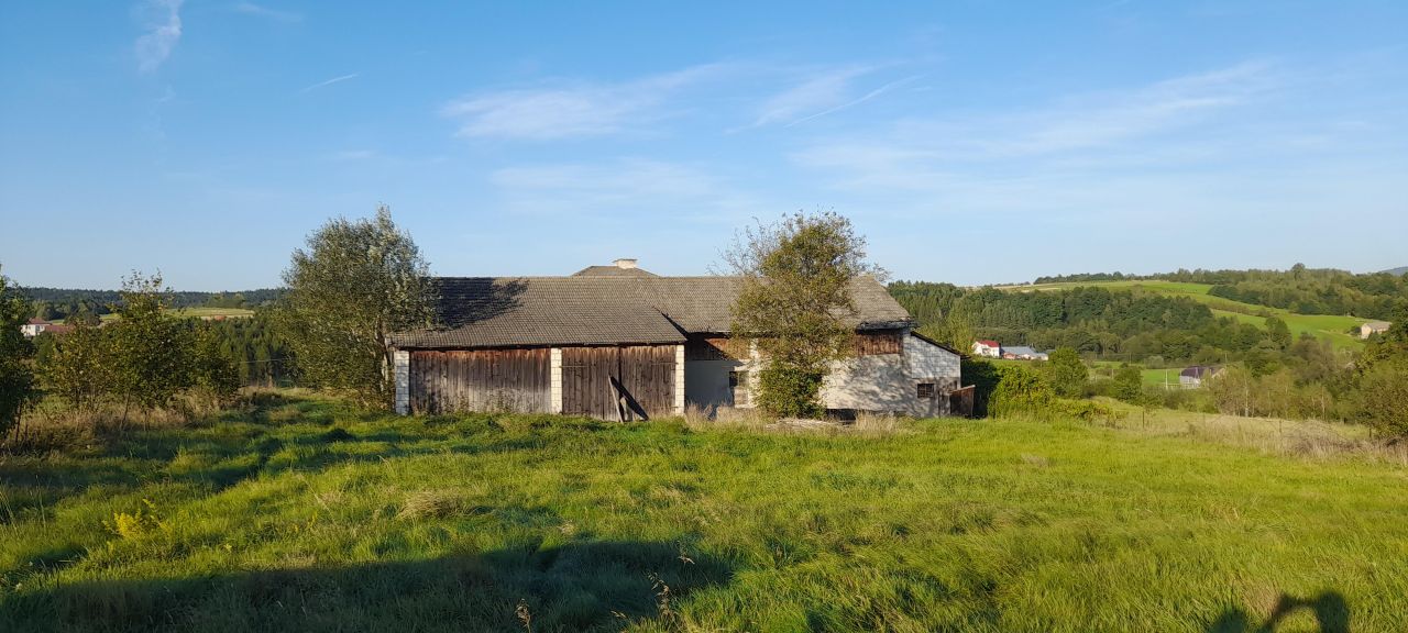 gospodarstwo, 6 pokoi Szerzyny. Zdjęcie 15