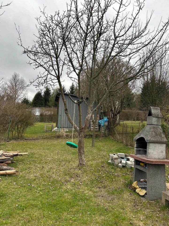 Działka rod Kamienna Góra. Zdjęcie 3