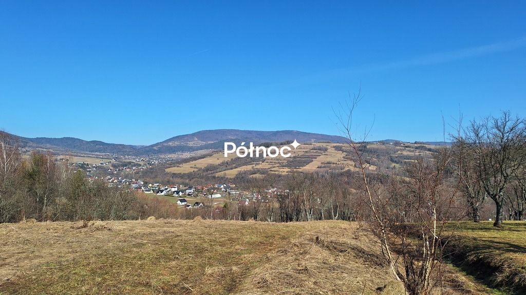 Działka rolna Kamienica. Zdjęcie 8