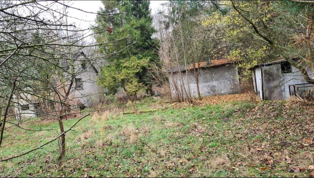Działka leśna Rzgów, ul. Literacka. Zdjęcie 2