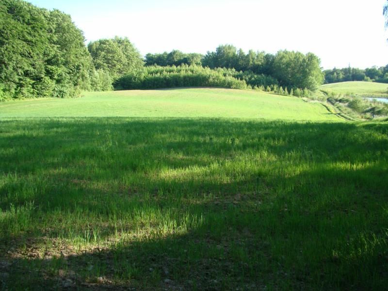 Działka siedliskowa Sokolnik