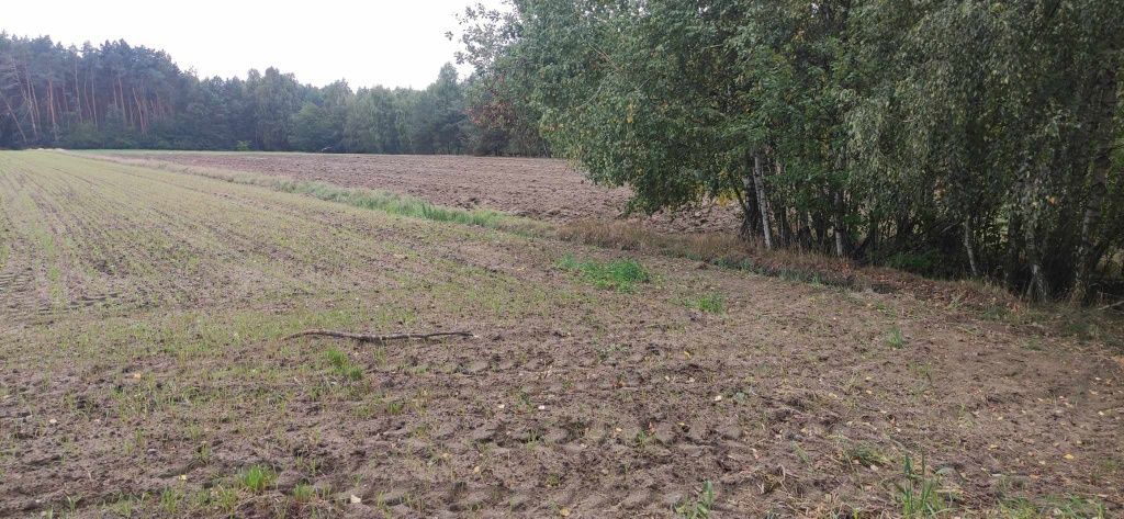 Działka budowlana Brzeg. Zdjęcie 5