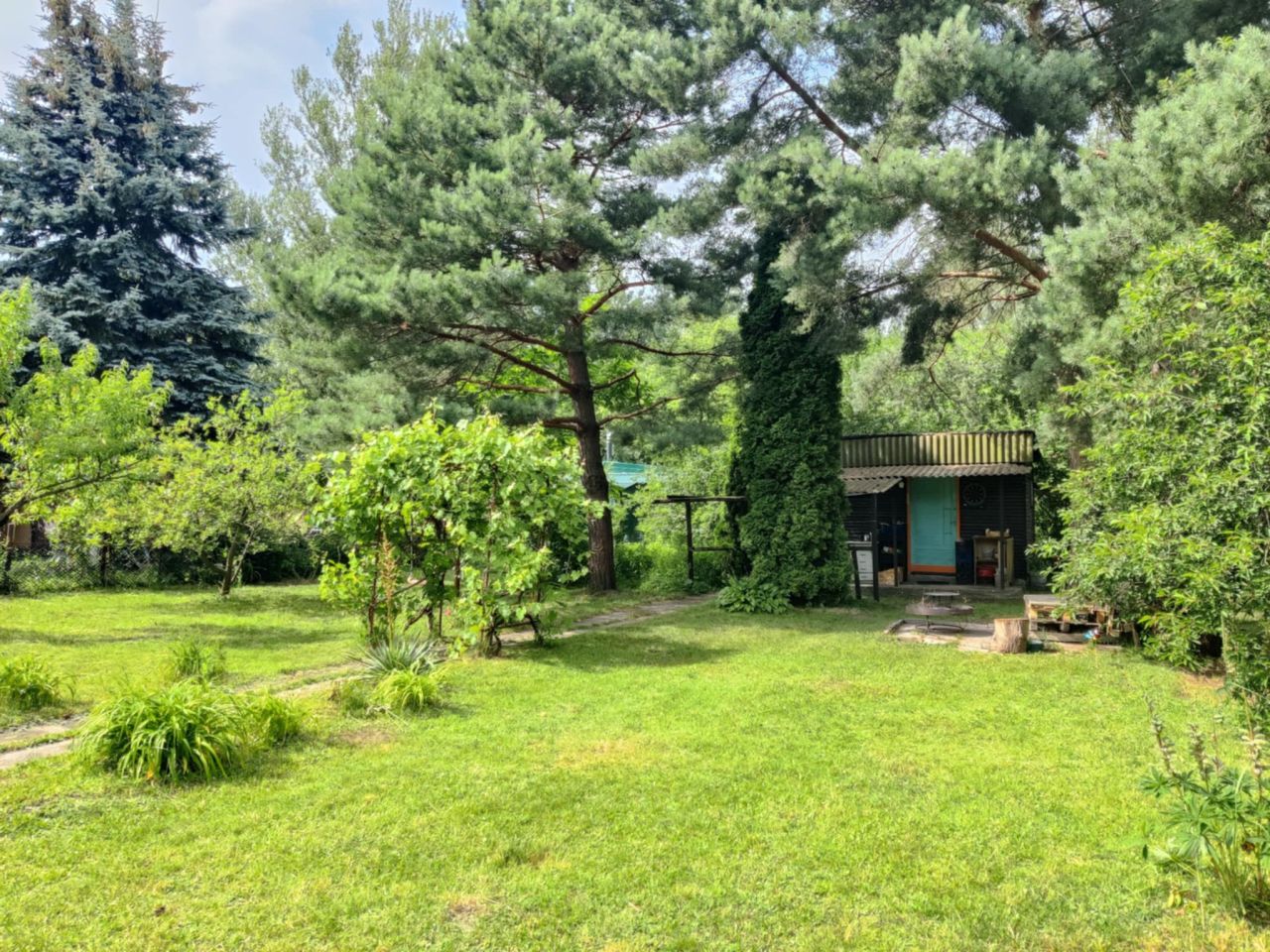 Działka rod Warszawa Włochy, ul. Paluch. Zdjęcie 4