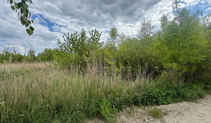 Działka siedliskowa Konstantynów Łódzki