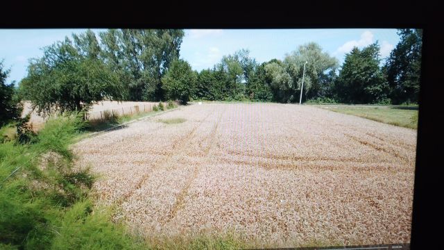Działka siedliskowa Stasin. Zdjęcie 1
