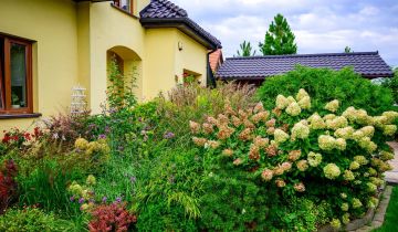 dom wolnostojący Wola Mrokowska