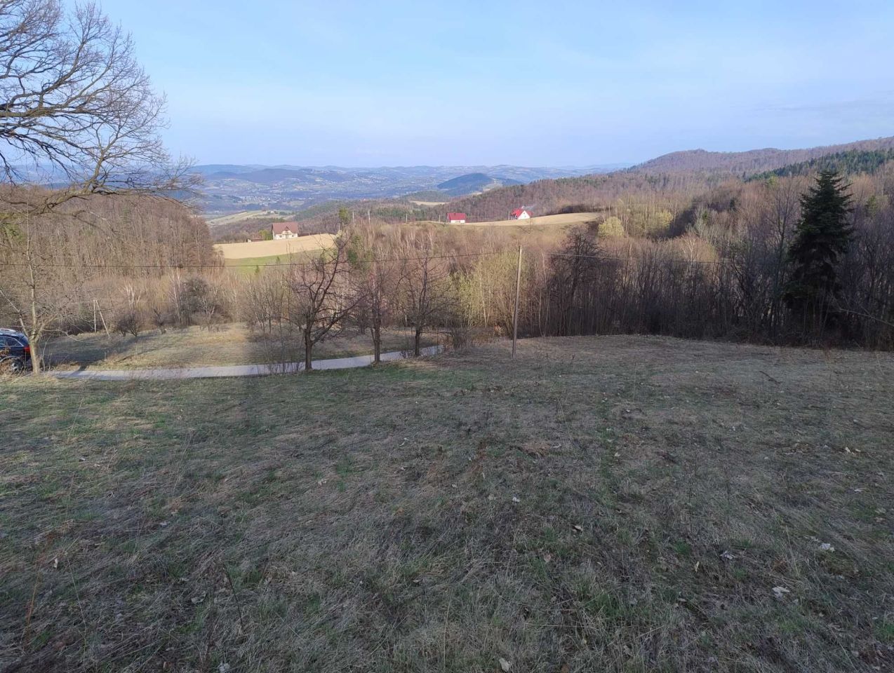 Działka rolna Stańkowa. Zdjęcie 2