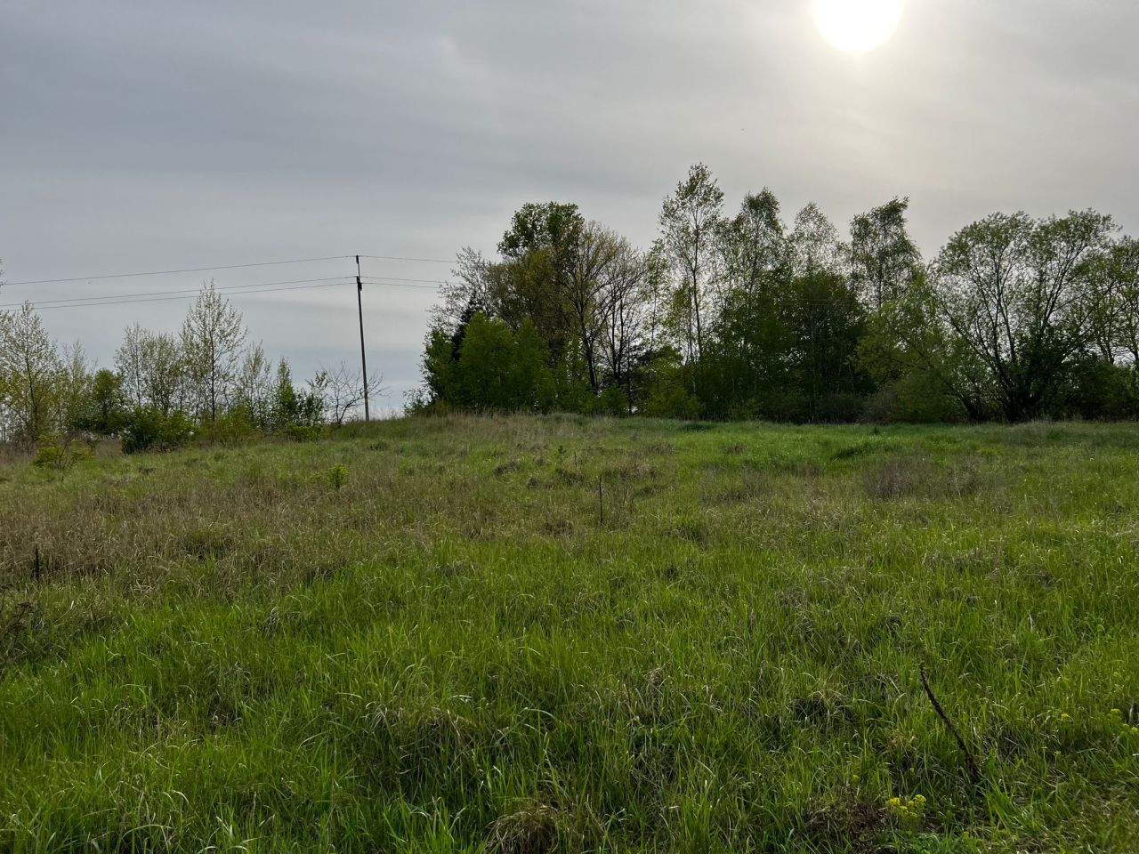 Działka rolna Kolsko, Kolsko. Zdjęcie 11