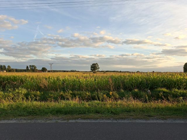Działka budowlana Wielenin. Zdjęcie 2