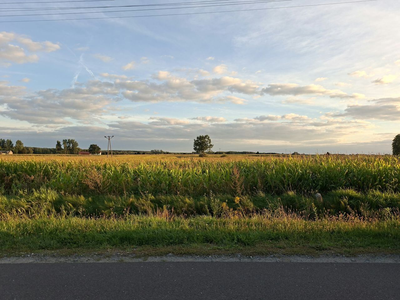 Działka budowlana Wielenin. Zdjęcie 2