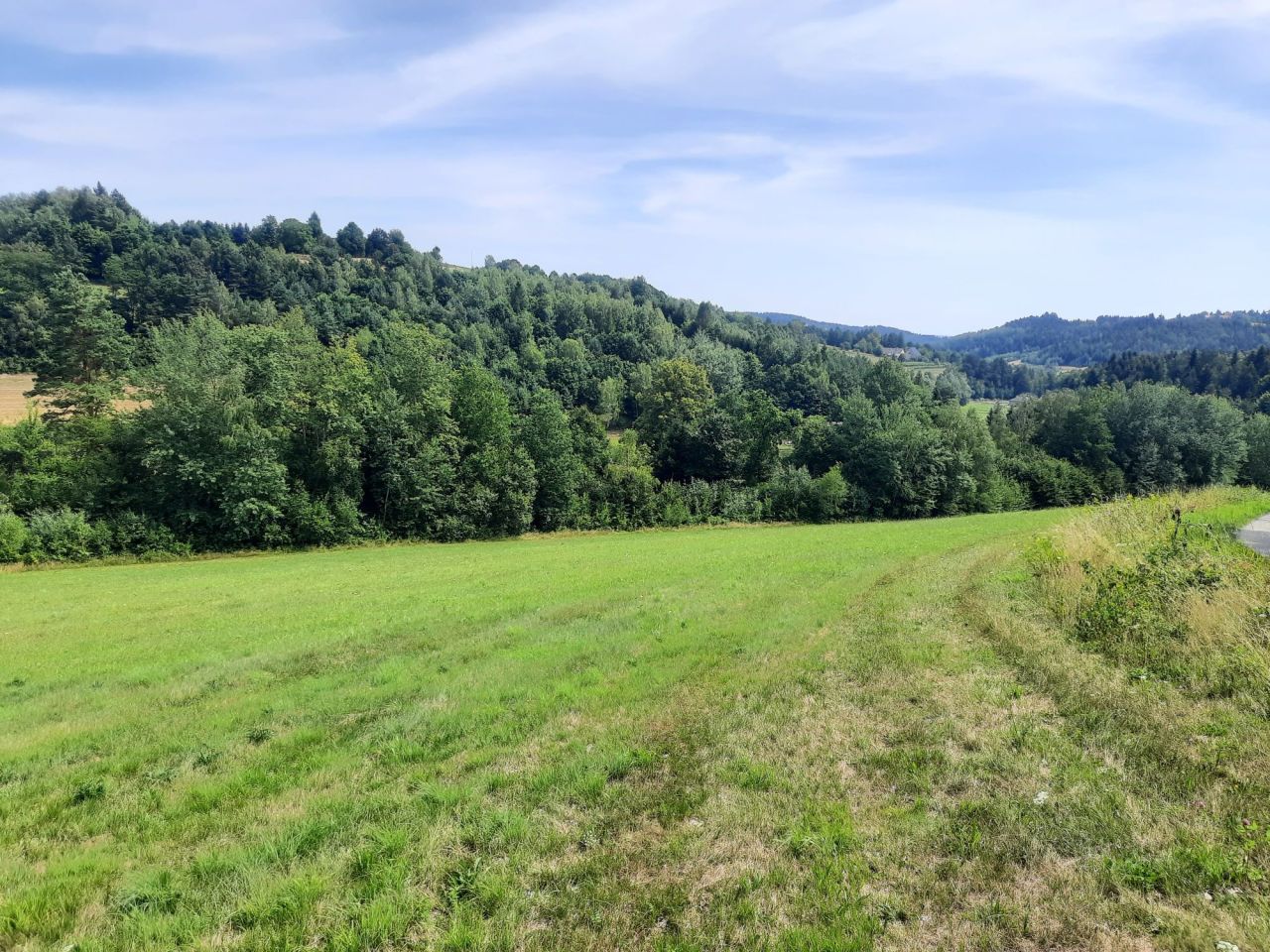 Działka rolno-budowlana Jastrzębia. Zdjęcie 11