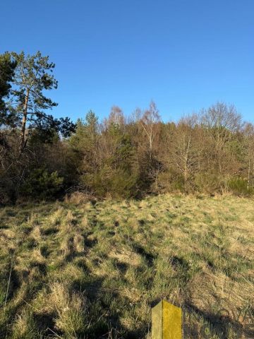 Działka rolna Gardna Wielka. Zdjęcie 4