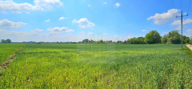Działka budowlana Bieniewice, ul. Słowicza. Zdjęcie 2