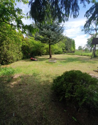 Działka rod Ruszków Pierwszy. Zdjęcie 1