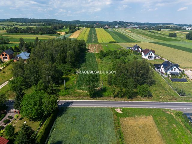 Działka inwestycyjna Cholerzyn. Zdjęcie 5